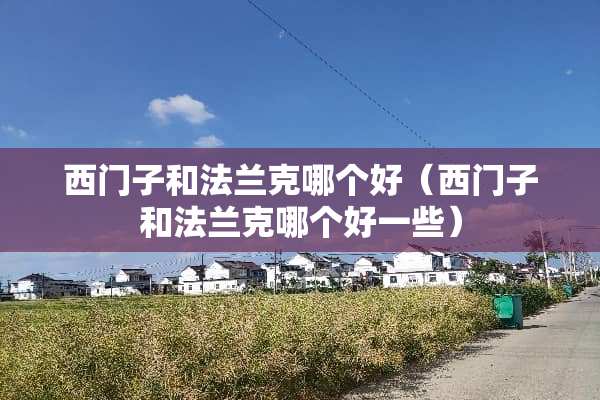 西门子和法兰克哪个好（西门子和法兰克哪个好一些）