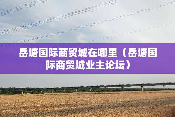 岳塘国际商贸城在哪里（岳塘国际商贸城业主论坛）