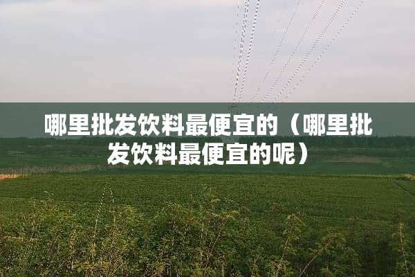 哪里批发饮料最便宜的（哪里批发饮料最便宜的呢）