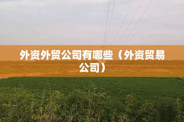 外资外贸公司有哪些（外资贸易公司）