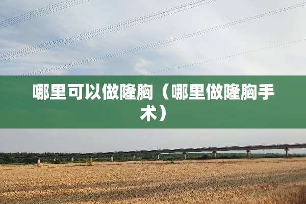哪里可以做隆胸（哪里做隆胸手术）