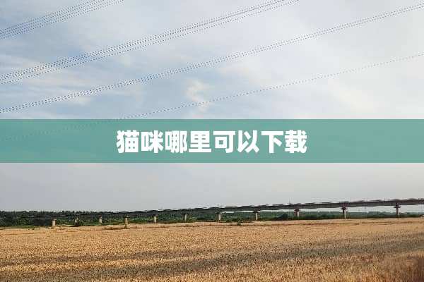 猫咪哪里可以下载
