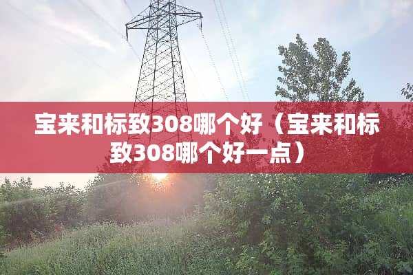 宝来和标致308哪个好（宝来和标致308哪个好一点）