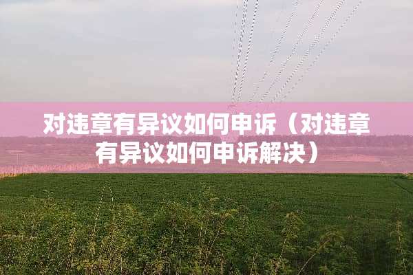 对违章有异议如何申诉（对违章有异议如何申诉解决）