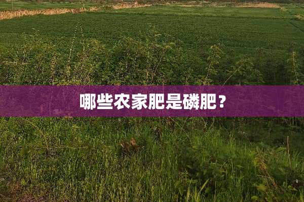 哪些农家肥是磷肥？