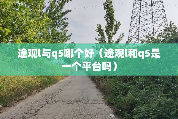 途观l与q5哪个好（途观l和q5是一个平台吗）