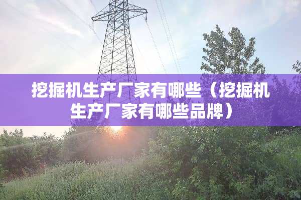 挖掘机生产厂家有哪些（挖掘机生产厂家有哪些品牌）