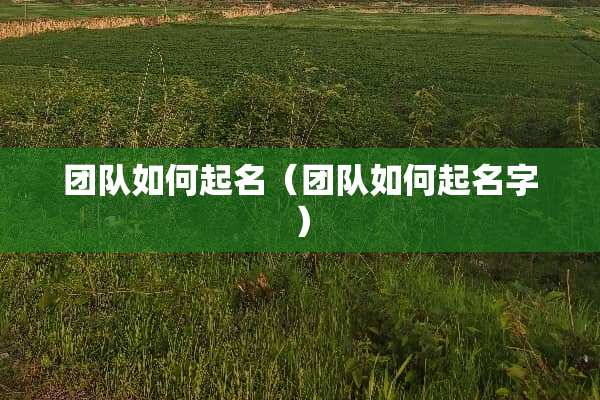 团队如何起名（团队如何起名字）