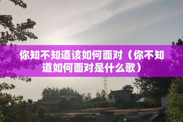你知不知道该如何面对（你不知道如何面对是什么歌）