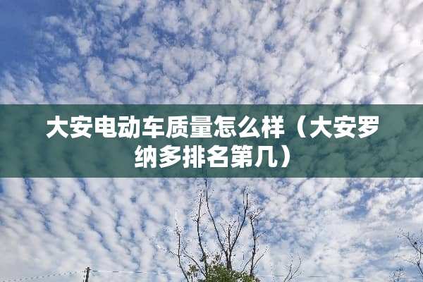 大安电动车质量怎么样（大安罗纳多排名第几）