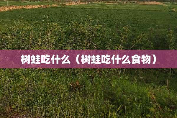 树蛙吃什么（树蛙吃什么食物）