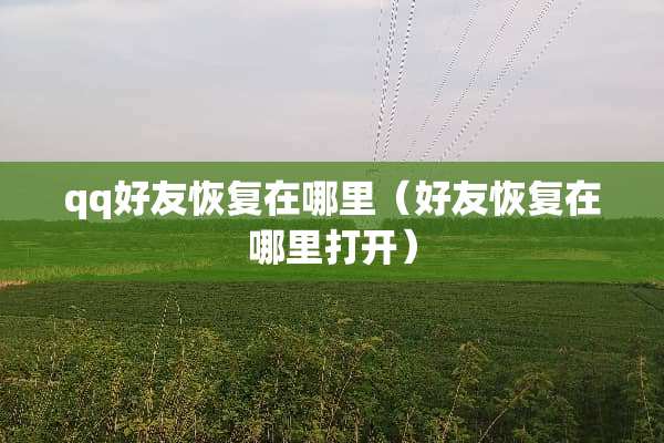qq好友恢复在哪里（好友恢复在哪里打开）