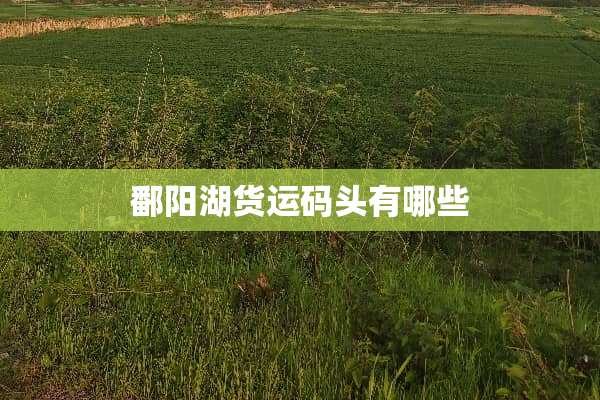 鄱阳湖货运码头有哪些