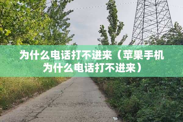 为什么电话打不进来（苹果手机为什么电话打不进来）