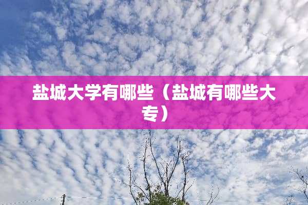 盐城大学有哪些（盐城有哪些大专）