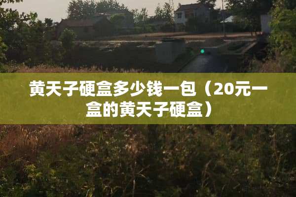 黄天子硬盒多少钱一包（20元一盒的黄天子硬盒）