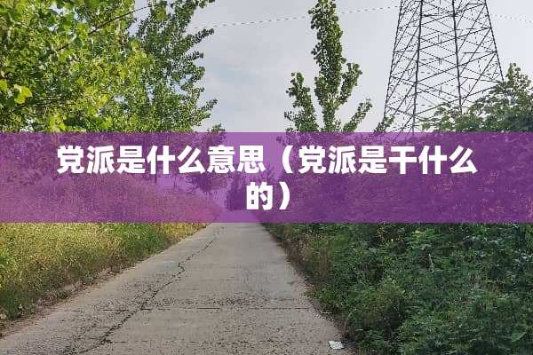 *派是什么意思（*派是干什么的）