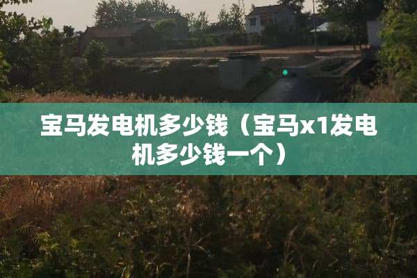 宝马发电机多少钱（宝马x1发电机多少钱一个）