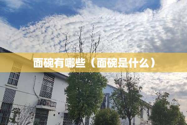面碗有哪些（面碗是什么）