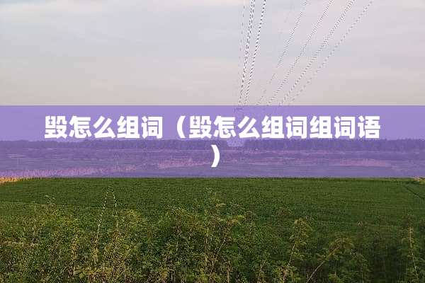 毁怎么组词（毁怎么组词组词语）