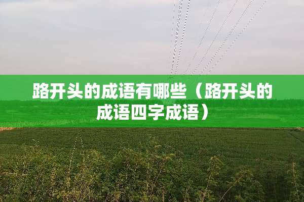 路开头的成语有哪些（路开头的成语四字成语）