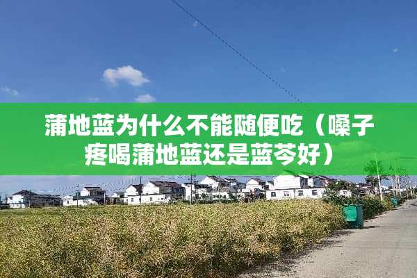 蒲地蓝为什么不能随便吃（嗓子疼喝蒲地蓝还是蓝芩好）