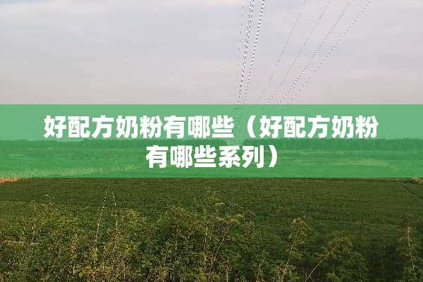 好配方奶粉有哪些（好配方奶粉有哪些系列）