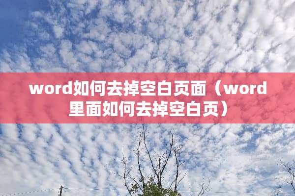 word如何去掉空白页面（word里面如何去掉空白页）