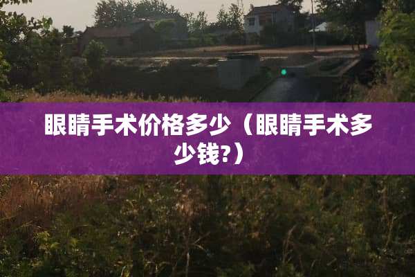 眼睛手术价格多少（眼睛手术多少钱?）