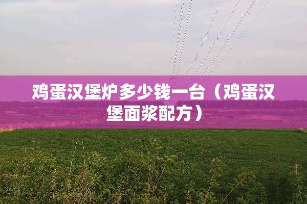 鸡蛋汉堡炉多少钱一台（鸡蛋汉堡面浆配方）