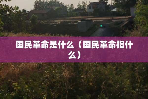 国民**是什么（国民**指什么）