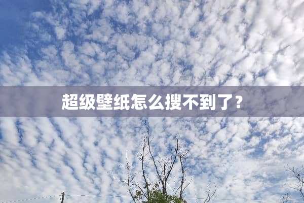 超级壁纸怎么搜不到了？