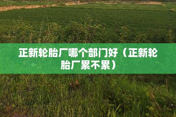 正新轮胎厂哪个部门好（正新轮胎厂累不累）