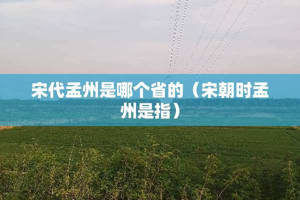 宋代孟州是哪个省的（宋朝时孟州是指）