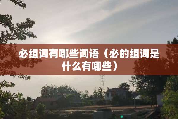 必组词有哪些词语（必的组词是什么有哪些）
