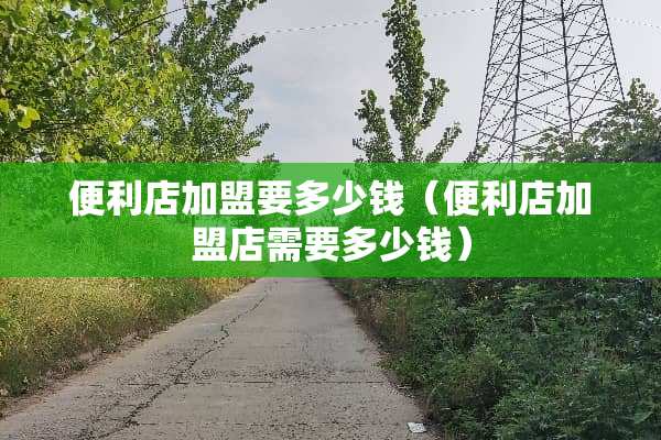 便利店加盟要多少钱（便利店加盟店需要多少钱）