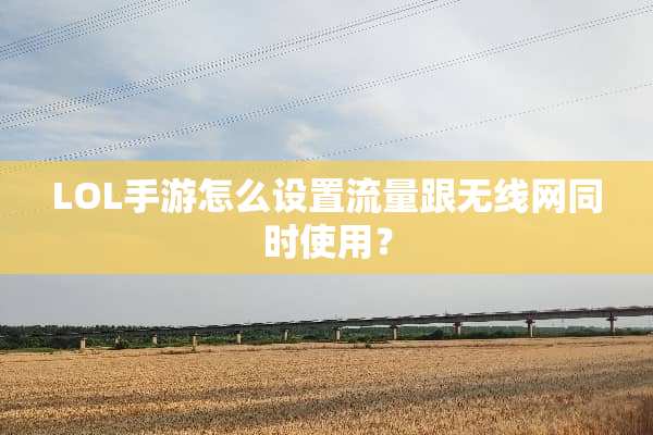LOL手游怎么设置流量跟无线网同时使用？