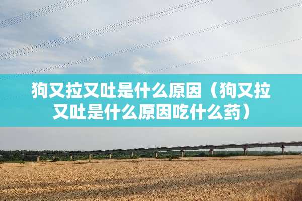 狗又拉又吐是什么原因（狗又拉又吐是什么原因吃什么药）