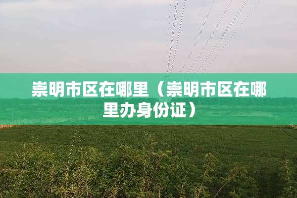 崇明市区在哪里（崇明市区在哪里办***）