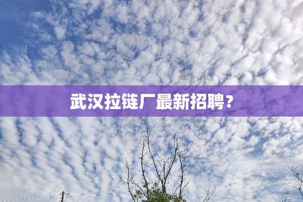 武汉拉链厂最新招聘？
