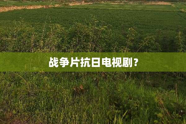 战争片**电视剧？