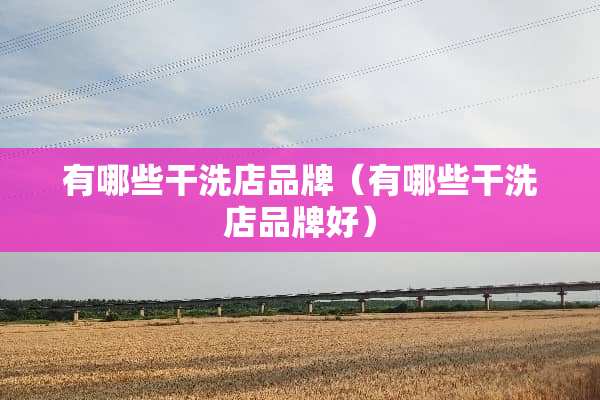 有哪些干洗店品牌（有哪些干洗店品牌好）