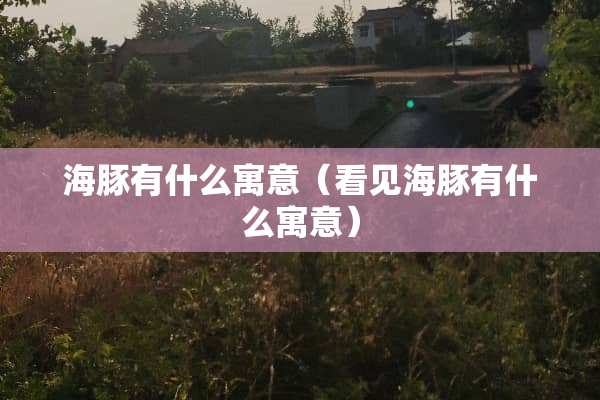 海豚有什么寓意（看见海豚有什么寓意）