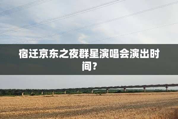 宿迁京东之夜群星演唱会演出时间？
