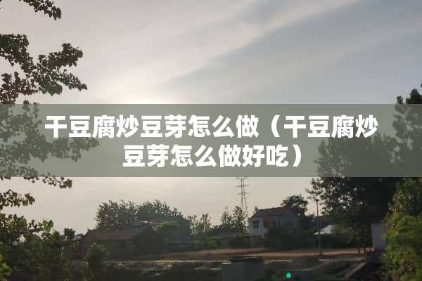 干豆腐炒豆芽怎么做（干豆腐炒豆芽怎么做好吃）