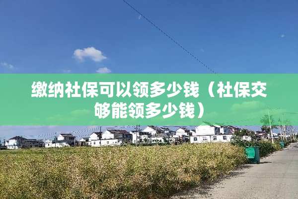 缴纳社保可以领多少钱（社保交够能领多少钱）