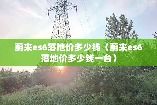 蔚来es6落地价多少钱（蔚来es6落地价多少钱一台）