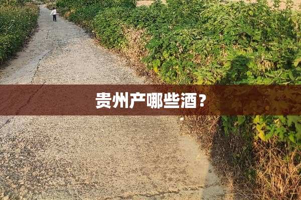 贵州产哪些酒？