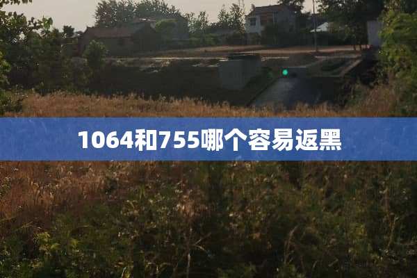 1064和755哪个容易返黑