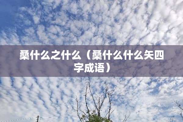 桑什么之什么（桑什么什么矢四字成语）